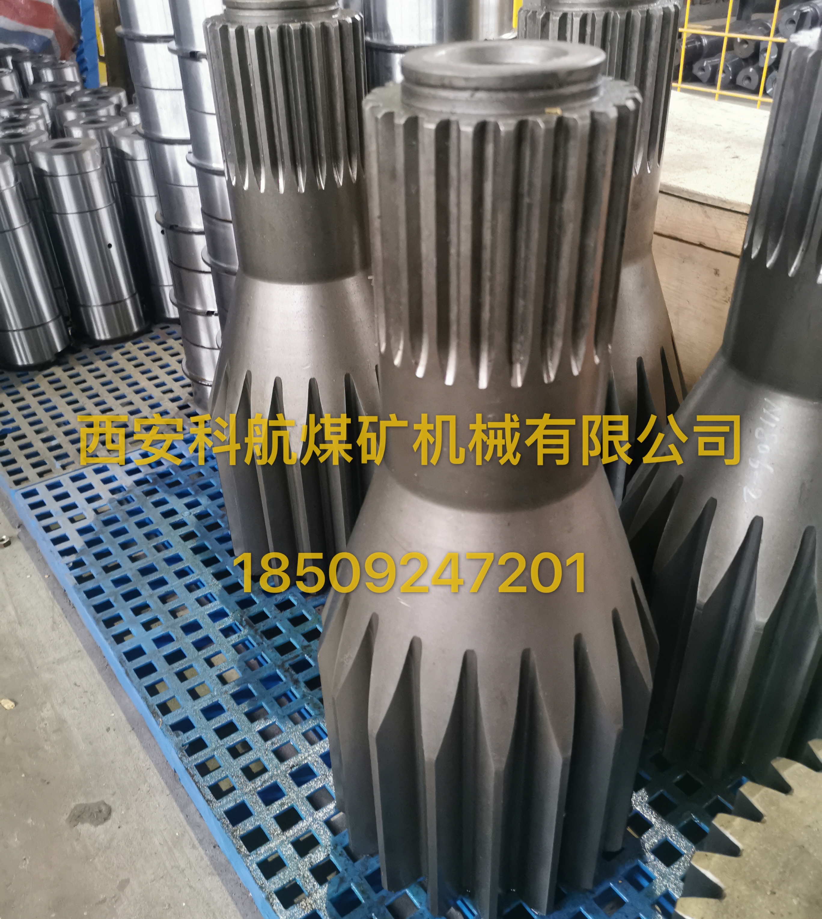 �c���鿴Ԕ��